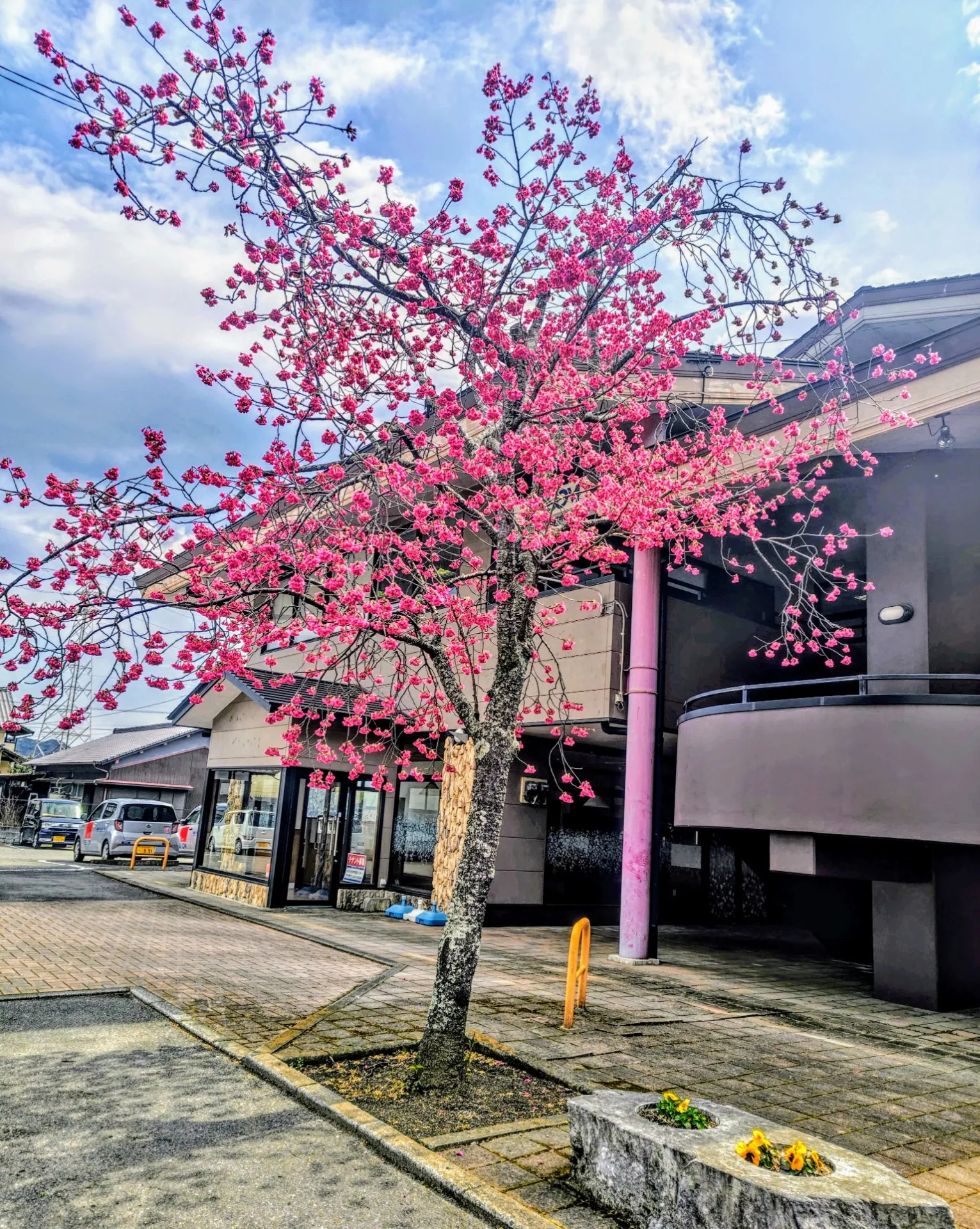 3月18日　火曜日　定休日